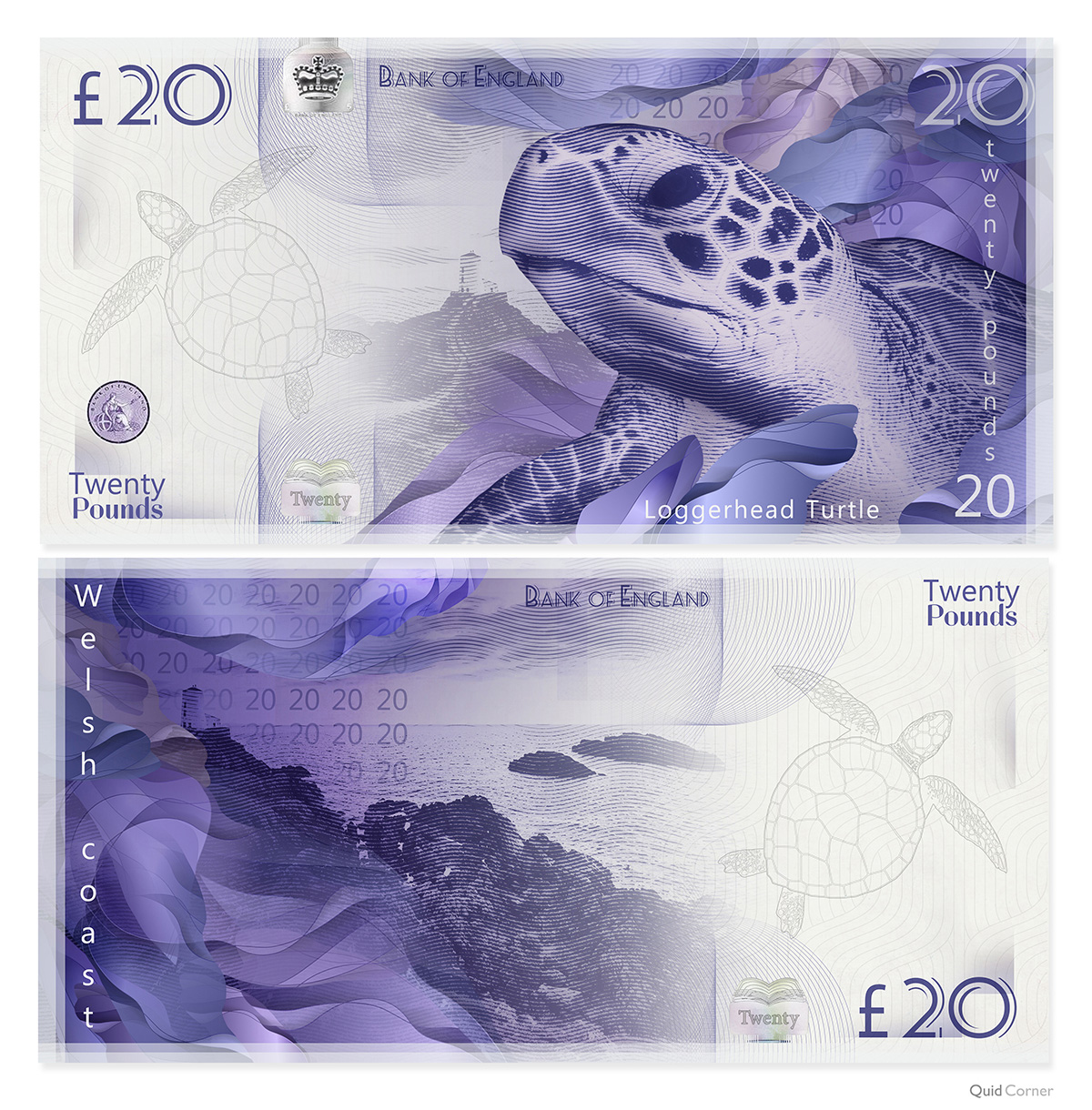 Loggerhead Turtle £20 Note