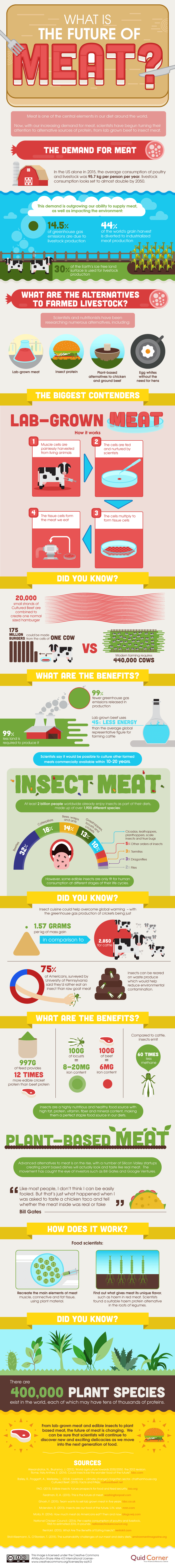 The Future of Meat