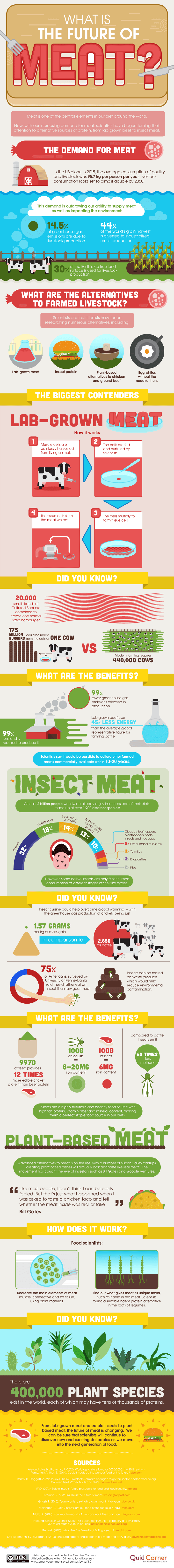 What is the Future of Meat? [Infographic] | ecogreenlove
